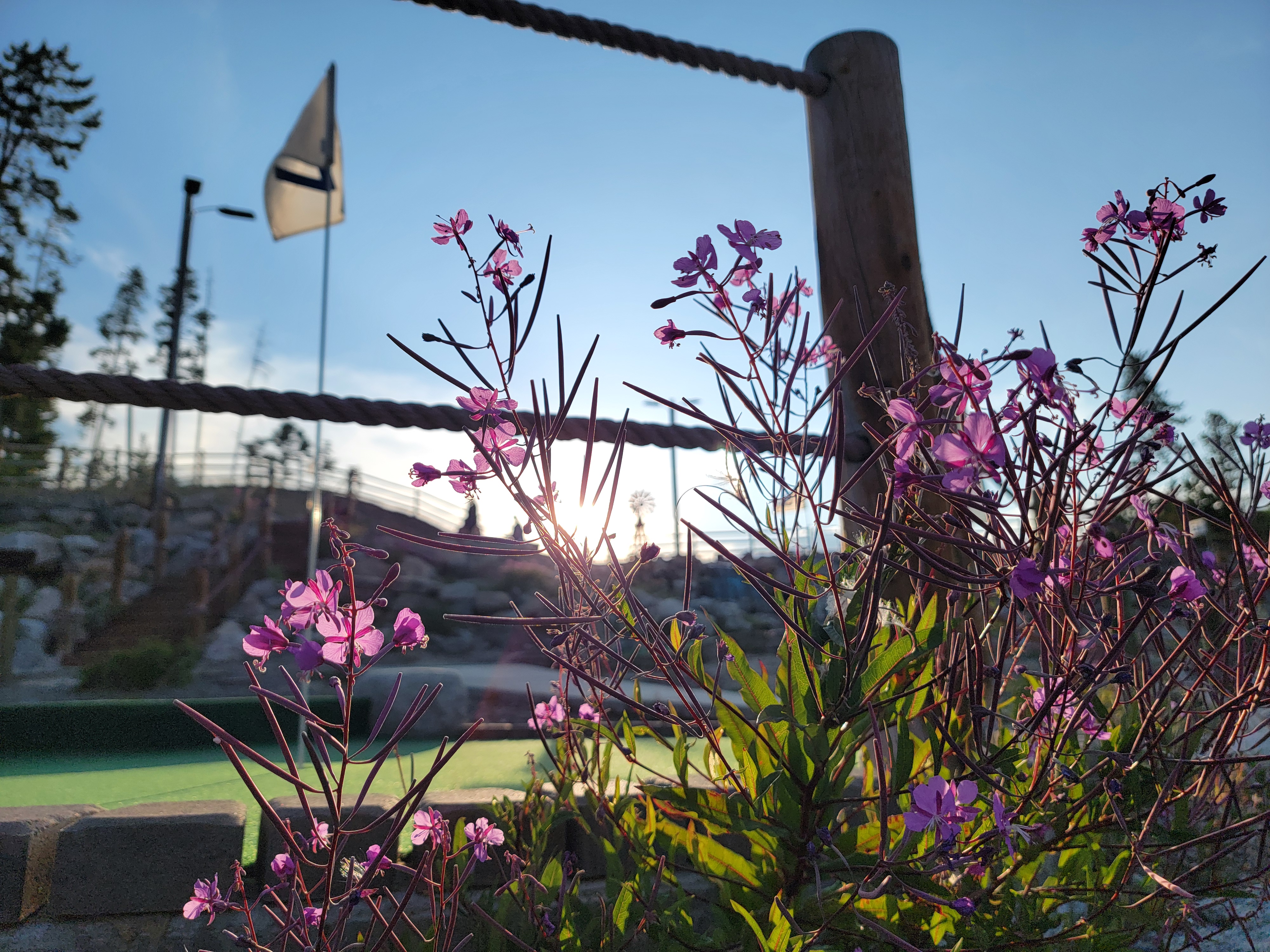 Welcome to our 4th Season